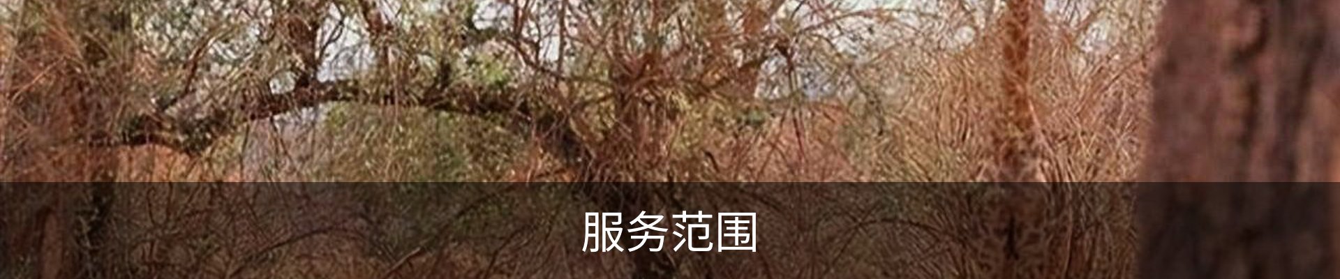 服务范围